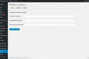 Word Press Google Sıra Bulucu Eklentisi